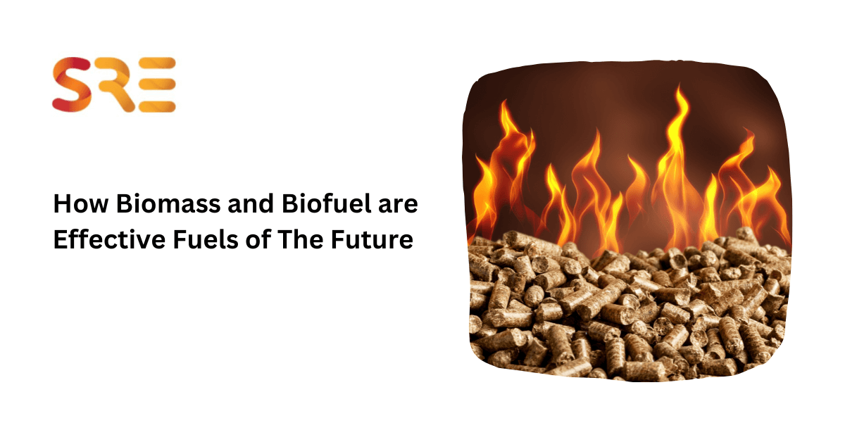How Biomass and Biofuel are Effective Fuels of The Future